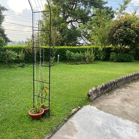 Montevideo Boutique Homestay-2